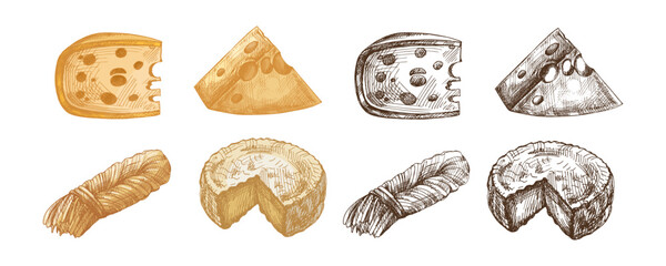 Hand drawn vintage sketch set of assorted cheese types including slices, wedge, wheel and round piece in color and monochrome versions, detailed dairy food illustration, isolated vector design