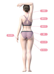 脱毛施術部位の解説イラスト 日本人3Dモデル女性 全身後ろ向き