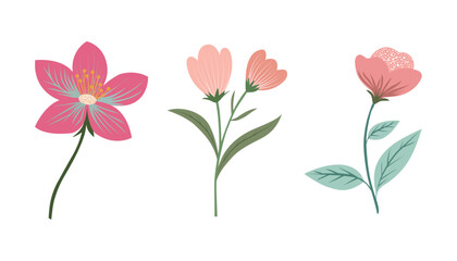 Obraz premium New set of flower illustration