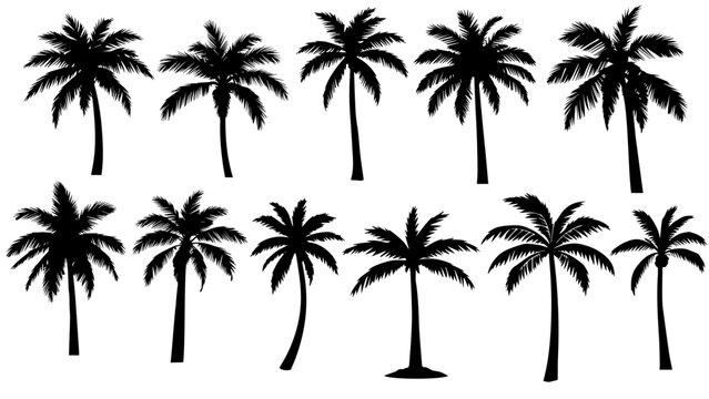 Enhance your designs with this black palm tree silhouettes set - perfect for tropical, summer, or beach-themed projects!.