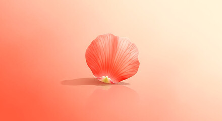 Coral Peach Gradient