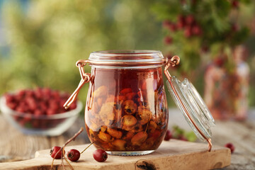 A jar of herbal tincture with fresh hawthorn berries