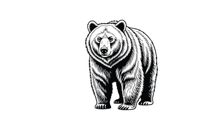 Illustration of a bear a majestic animal with a powerful presence in a black and white drawing style © Vector_4_U