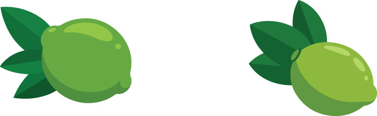Fresh Green Lime with Leaves Illustration