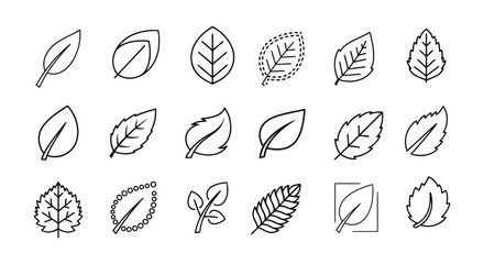 leaf line art icon vector illustration