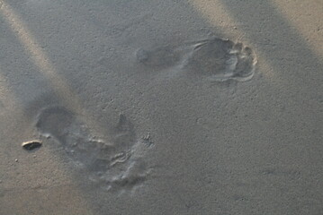 Footprints in the sand, texture, good for background 