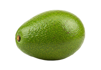 Isolated fresh green avocado, raw organic fruit full of healthy vitamins and nutrients