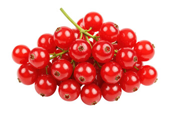 Isolated vibrant red currants, shiny and fresh, on the vine, for summer fruit desserts