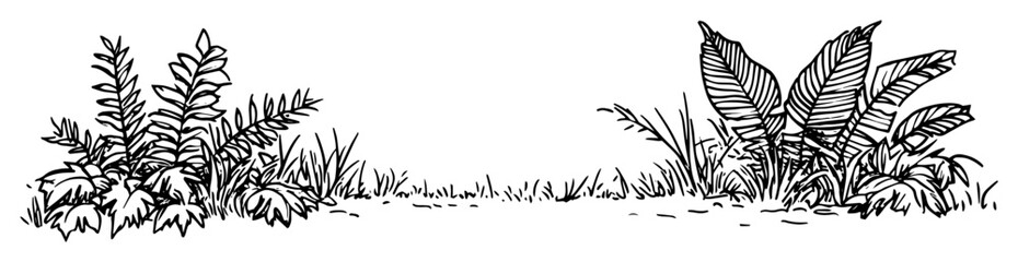 patch of wild grass fern and plants sketch vector © Kaz