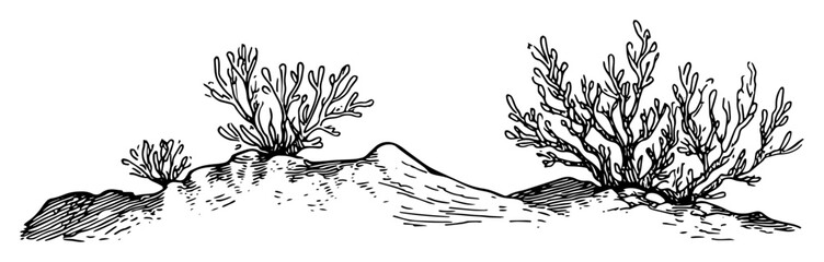 hand drawn coral reef seabed sketch isolated on white vector illustration © Kaz