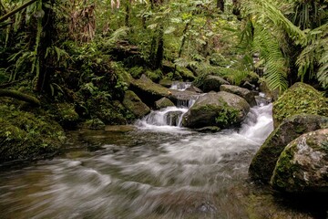 river flow from tropical rainforest, Indonesia