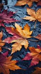 Colorful autumn leaves floating on water during a rainy day