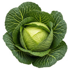 Obraz premium Fresh green cabbage head healthy vegetable food close up top view isolated on transparent background