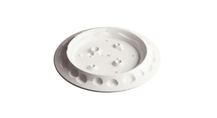 White Ceramic Decorative Bowl with Embossed Pattern and Interior Indentations.