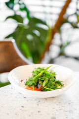 Fresh vegetable salad with grilled eggplant, tomato, cucumber, dill, and green onion in a white bowl on a kitchen counter. Natural light, healthy vegan meal, rustic presentation.