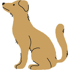 A simple cartoon illustration of a golden retriever dog sitting and looking to the left with a transparent background
