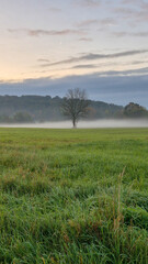 Autumn Foggy Landscape at Sunrise