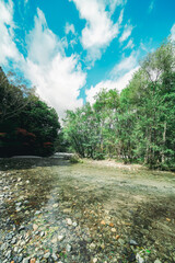上高地の大正池