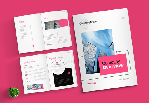 Company Overview Business Brochure
