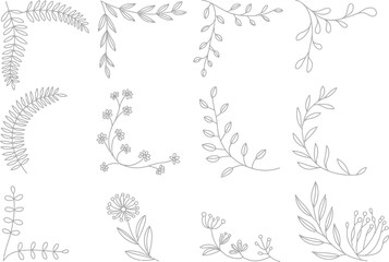 Fototapeta premium Botanical Floral Line Art Vector Set – Hand-Drawn Leaf and Branch Decorative Design Elements