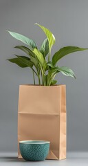 Green potted plant in paper bag with small ceramic bowl nearby.