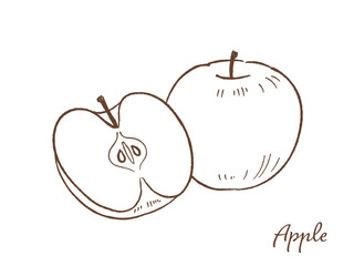 林檎の手描きベクターイラスト