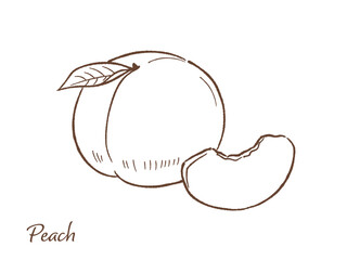 桃の手描きベクターイラスト