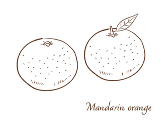みかんの手描きベクターイラスト