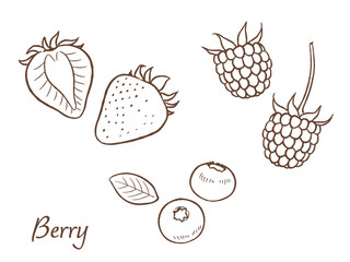 苺、ブルーベリー、ラズベリーの手描きベクターイラスト