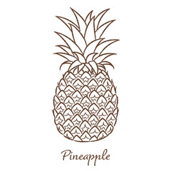 パイナップルの手描きベクターイラスト