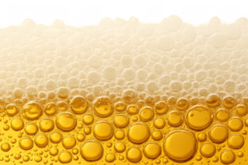 Beer froth and liquid overflowing, golden bubbles forming a refreshing texture with a transparent background