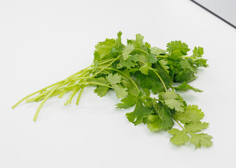 Fresh Cilantro Bunch on White Surface for Cooking, Grocery, Health, Cuisine, and Everyday Meal Use