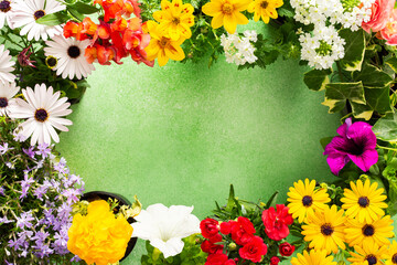 A beautiful collection of spring flowers decorates a balcony or terrace, creating a lively and cheerful atmosphere. Various colors and types of flowers bring joy to the space.