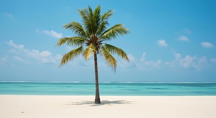 Fototapeta premium Tropical Paradise Beach with Lone Palm Tree and Turquoise Ocean.