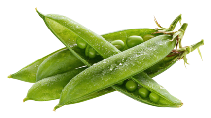 Fresh green pea pods with seeds inside showing natural vegetable freshness and organic farm produce isolated on white background