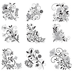 Graphic elements for vector design. Swirl vintage elements decorative illustration. 