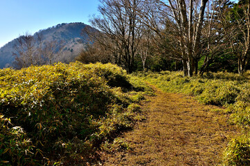 天子山地の雨ヶ岳山頂より望むタカデッキ
