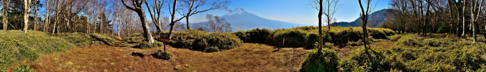 天子山地の雨ヶ岳山頂より富士山を望むパノラマ

