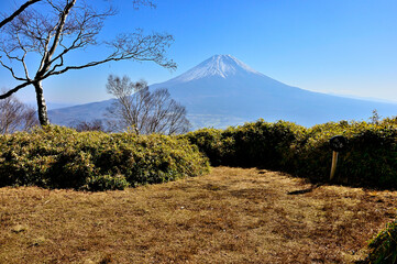 天子山地の雨ヶ岳山頂より富士山を望む
