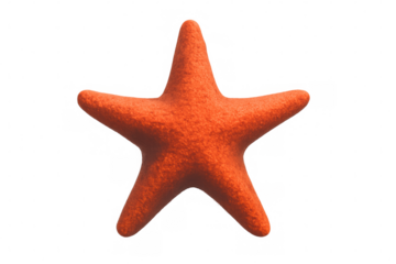 Orange starfish showcasing aquatic life and holiday themes, isolated for versatile use on a transparent background