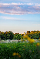 Englischer Garten in München mit Blick auf den Monopteros © Kathy