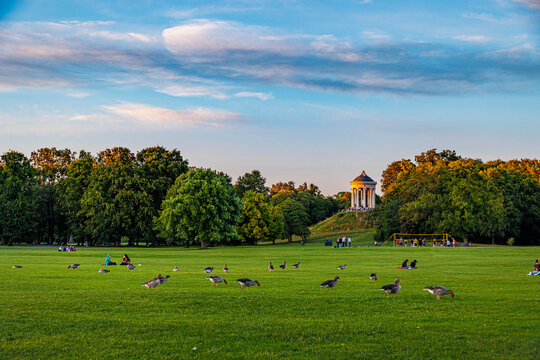 Englischer Garten in M&uuml;nchen mit Blick auf den Monopteros