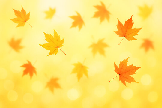 Autumn Maple Leaves Falling on Bright Golden Background