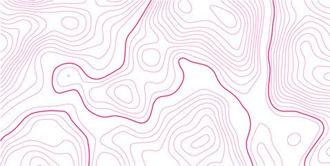 Abstract Topographic Lines Map Vector Illustration Background.
