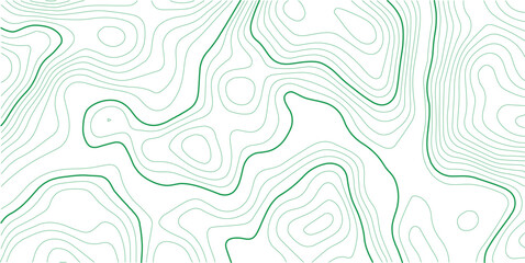 Abstract Topographic Lines Map Vector Illustration Background.