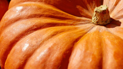 Close-up view of a vibrant orange pumpkin showcasing its texture and features during Autumn harvest season.