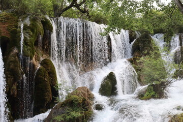 Fototapeta premium waterfall in the forest