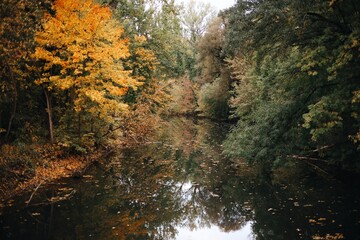 A scenic lake surrounded by hills, trees, and natural beauty, reflecting the clear sky and peaceful environment.
