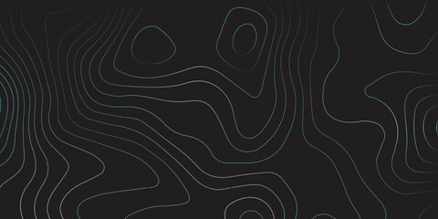 Fototapeta premium Abstract background vector with seamless black and white texture, vintage floral pattern, wave art illustration, or a retro swirl design wallpaper