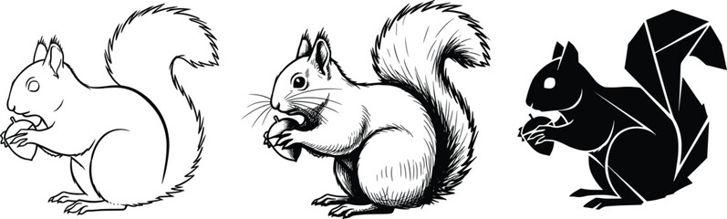 Vector illustration of squirrel eating nut in different styles, black and white animal drawing, woodland wildlife art design collection